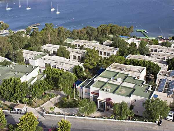 Cactus Mirage Family Club