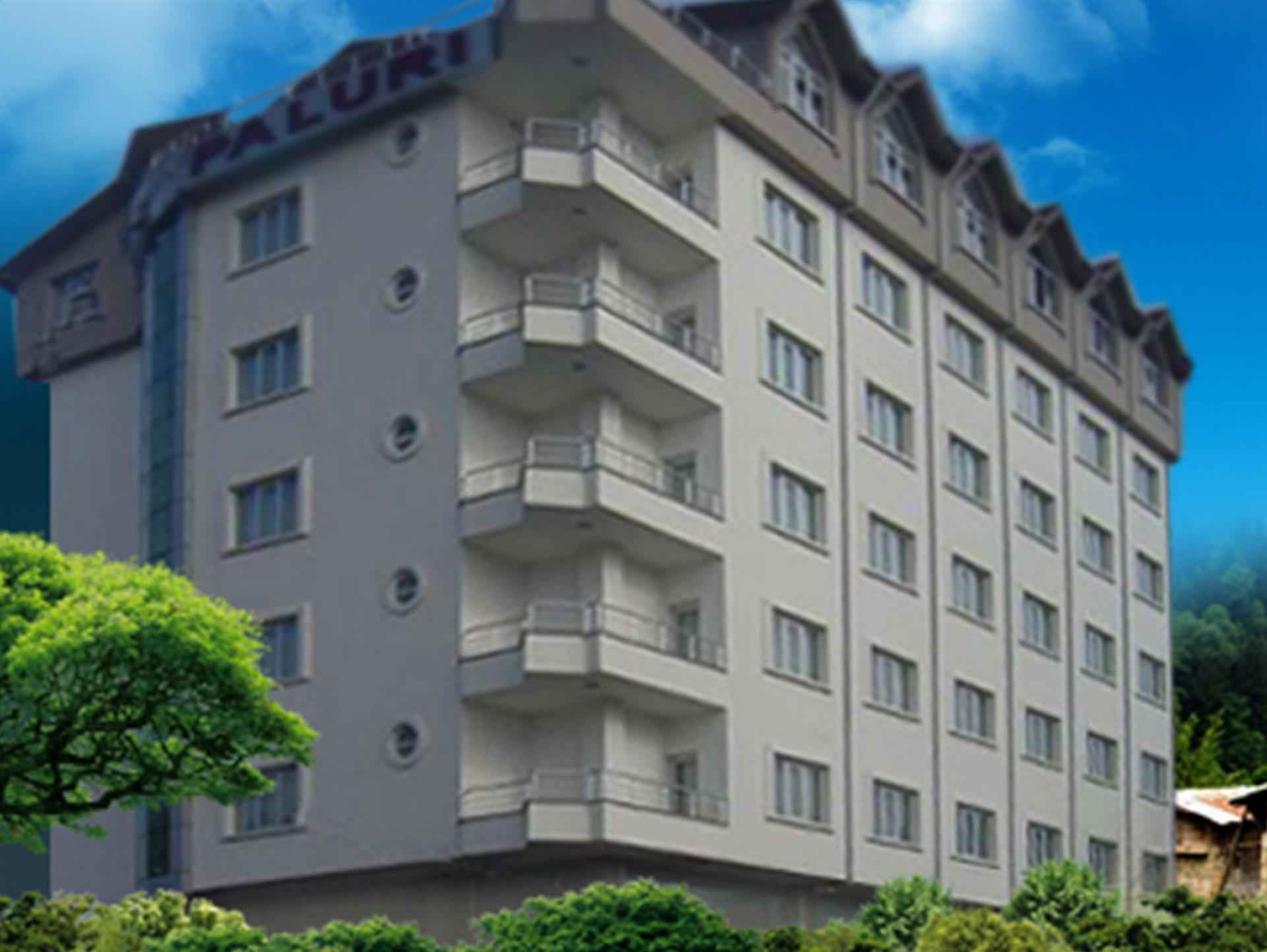 Paluri Hotel