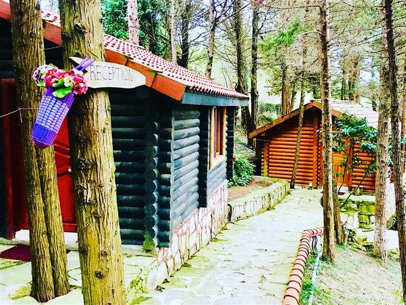Ağva Orman Evleri (Forest Lodge) İstanbul , Şile Gezinomi