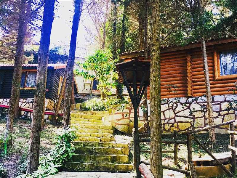 Ağva Orman Evleri (Forest Lodge) İstanbul , Şile Gezinomi