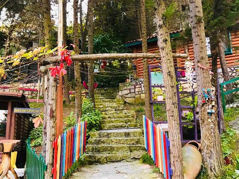 Ağva Orman Evleri (Forest Lodge) İstanbul , Şile Gezinomi