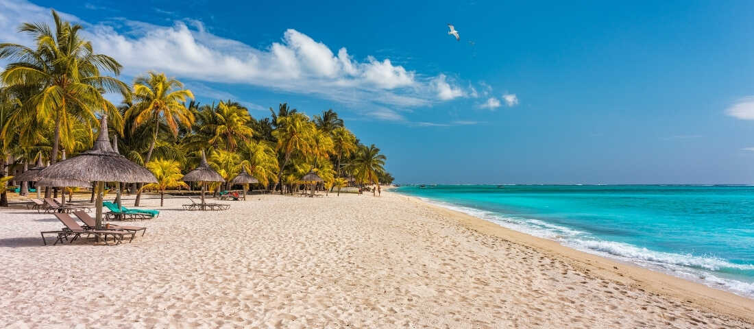 Dominik Cumhuriyeti Punta Cana sahilinde turkuaz Karayip denizi ve palmiyeler