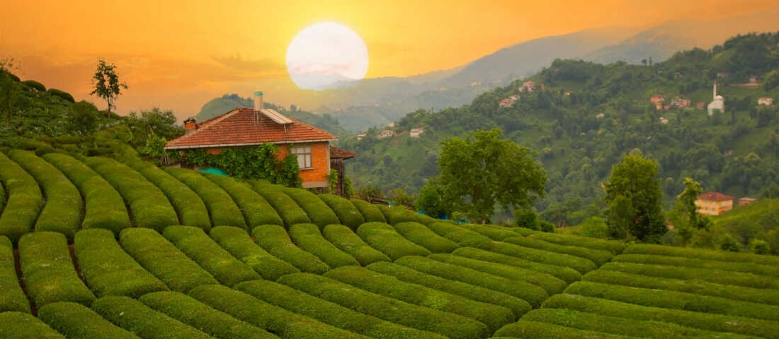 Karadeniz turları ile yaylalar göller ve doğal güzellikleri keşfetme deneyi