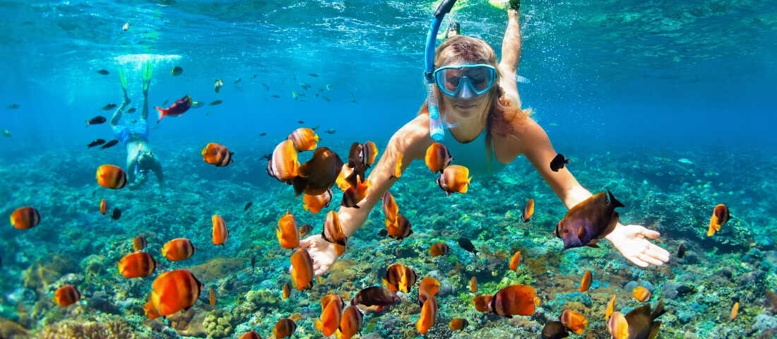 Mısır Sharm El Sheikh sahilinde Kızıldeniz manzarası ve mercan resifleriyle dalış noktası