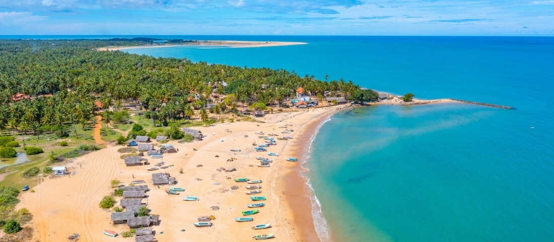 Sri Lanka Bentota ve Mirissa plajlarında altın renkli kumsallar ve palmiye ormanları